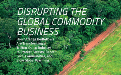 Disrupting the Global Commodity Business