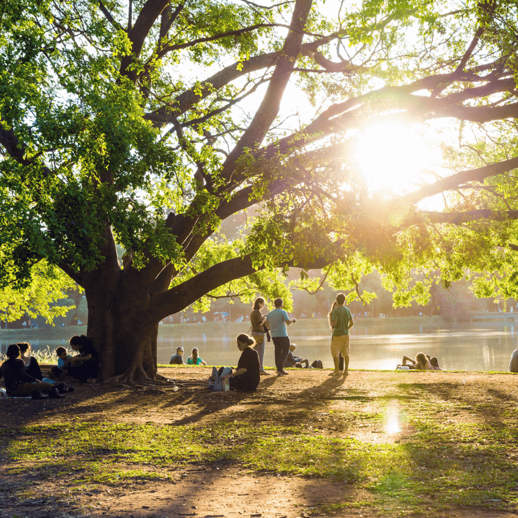 People enjoying a beautiful day in Ibirapuera Park in Sao Paulo, Brazil